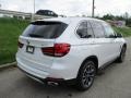 Mineral White Metallic - X5 xDrive35i Photo No. 3