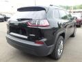 2019 Diamond Black Crystal Pearl Jeep Cherokee Latitude Plus 4x4  photo #5