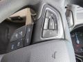 Magnetic - Focus SE Sedan Photo No. 15