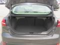 Magnetic - Focus SE Sedan Photo No. 20