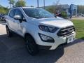 Diamond White - EcoSport Titanium 4WD Photo No. 3