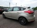 2018 White Gold Ford Focus SEL Hatch  photo #6