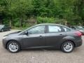 Magnetic - Focus SE Sedan Photo No. 6