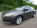 Magnetic - Focus SE Sedan Photo No. 7