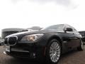 2009 Black Sapphire Metallic BMW 7 Series 750Li Sedan  photo #9