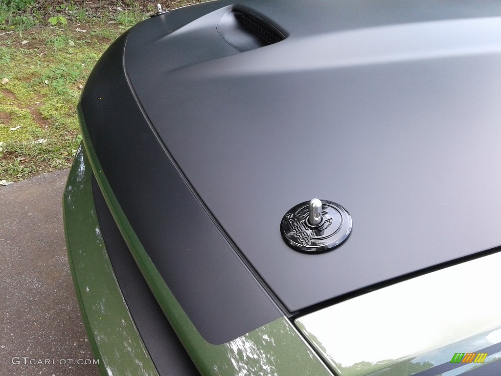 2018 Dodge Challenger T/A Hood Pin Photo #127327985