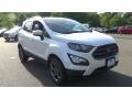 White Platinum - EcoSport SES 4WD Photo No. 3