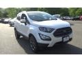 White Platinum - EcoSport SES 4WD Photo No. 4