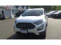 White Platinum - EcoSport SES 4WD Photo No. 7