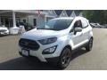 White Platinum - EcoSport SES 4WD Photo No. 8