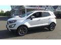 White Platinum - EcoSport SES 4WD Photo No. 10