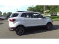 White Platinum - EcoSport SES 4WD Photo No. 22