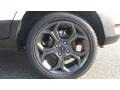 White Platinum - EcoSport SES 4WD Photo No. 65