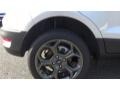 White Platinum - EcoSport SES 4WD Photo No. 74