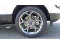 White Platinum - EcoSport SES 4WD Photo No. 89