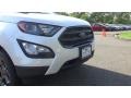 White Platinum - EcoSport SES 4WD Photo No. 91