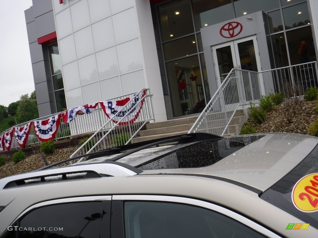 2010 Equinox LTZ AWD - Gold Mist Metallic / Jet Black/Brownstone photo #4