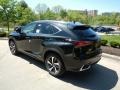 Caviar - NX 300h Hybrid AWD Photo No. 5