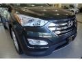 Juniper Green - Santa Fe Sport 2.0T AWD Photo No. 10