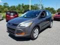 Sterling Gray Metallic 2013 Ford Escape S