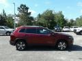 2019 Velvet Red Pearl Jeep Cherokee Limited  photo #6
