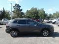 Granite Crystal Metallic - Cherokee Latitude Plus Photo No. 6