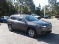 Granite Crystal Metallic - Cherokee Latitude Plus Photo No. 7