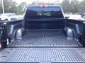 True Blue Pearl - 1500 Express Quad Cab Photo No. 19