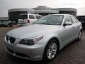 Titanium Silver Metallic - 5 Series 550i Sedan Photo No. 1