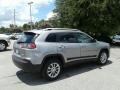 Billet Silver Metallic - Cherokee Latitude Photo No. 5