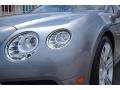 Hallmark Metallic - Continental GTC V8  Photo No. 14