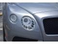 Hallmark Metallic - Continental GTC V8  Photo No. 16
