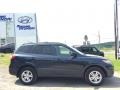 Pacific Blue Pearl - Santa Fe GLS AWD Photo No. 3