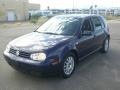 Indigo Blue Metallic - Golf GLS TDI 4 Door Photo No. 47