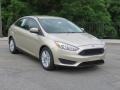 White Gold - Focus SE Sedan Photo No. 1