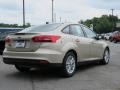 White Gold - Focus SE Sedan Photo No. 21
