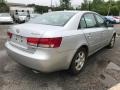 Bright Silver - Sonata GLS V6 Photo No. 8
