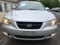 Bright Silver - Sonata GLS V6 Photo No. 11