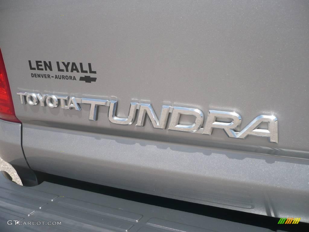 2005 Tundra SR5 Double Cab 4x4 - Silver Sky Metallic / Light Charcoal photo #12
