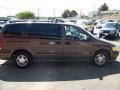 Smokey Caramel Metallic - Venture LT Photo No. 6