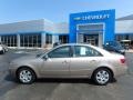 Golden Beige - Sonata GLS Photo No. 3
