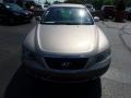 Golden Beige - Sonata GLS Photo No. 12