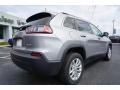 Billet Silver Metallic - Cherokee Latitude Photo No. 11