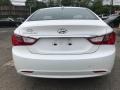 Shimmering White - Sonata GLS Photo No. 6
