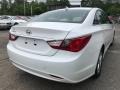 Shimmering White - Sonata GLS Photo No. 7