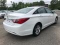 Shimmering White - Sonata GLS Photo No. 8