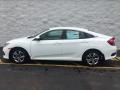 Taffeta White - Civic LX Sedan Photo No. 7