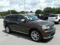 Stout Brown Metallic - Durango Citadel Photo No. 7