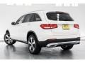 Polar White - GLC 300 Photo No. 3