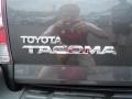 2009 Magnetic Gray Metallic Toyota Tacoma Regular Cab  photo #17